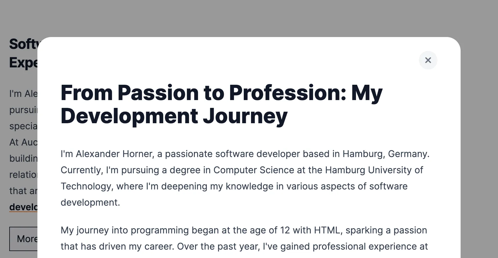 Screenshot of a project dialog in the 2024 portfolio